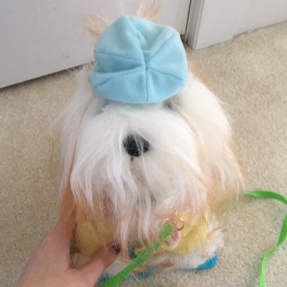 Plush dog toy with carrying case &extras